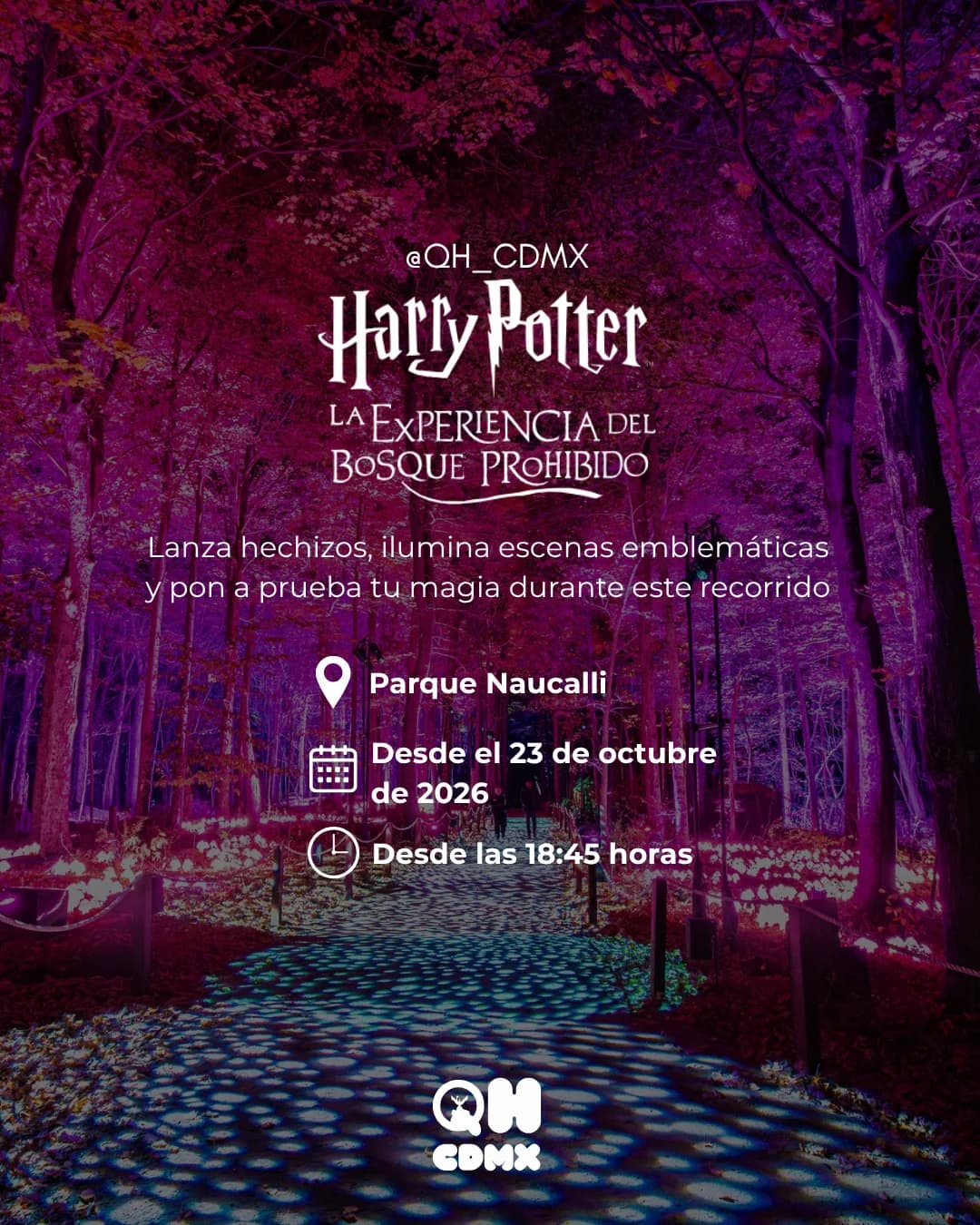 Harry Potter la experiencia del bosque prohibido