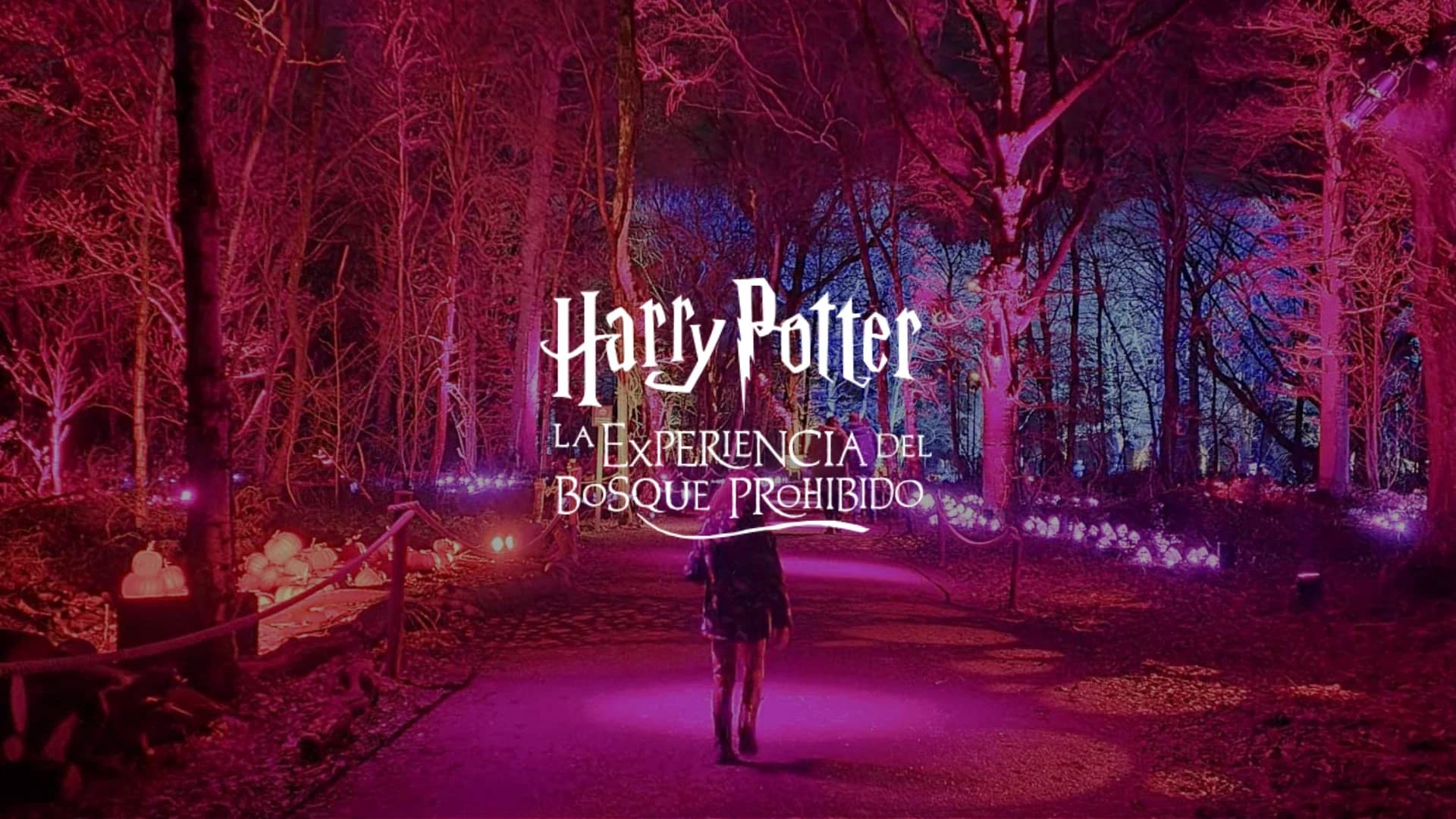 Harry Potter la experiencia del bosque prohibido